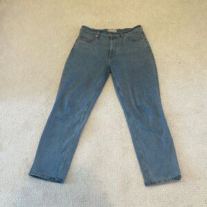 Blue Everlane Original Cheeky Jeans